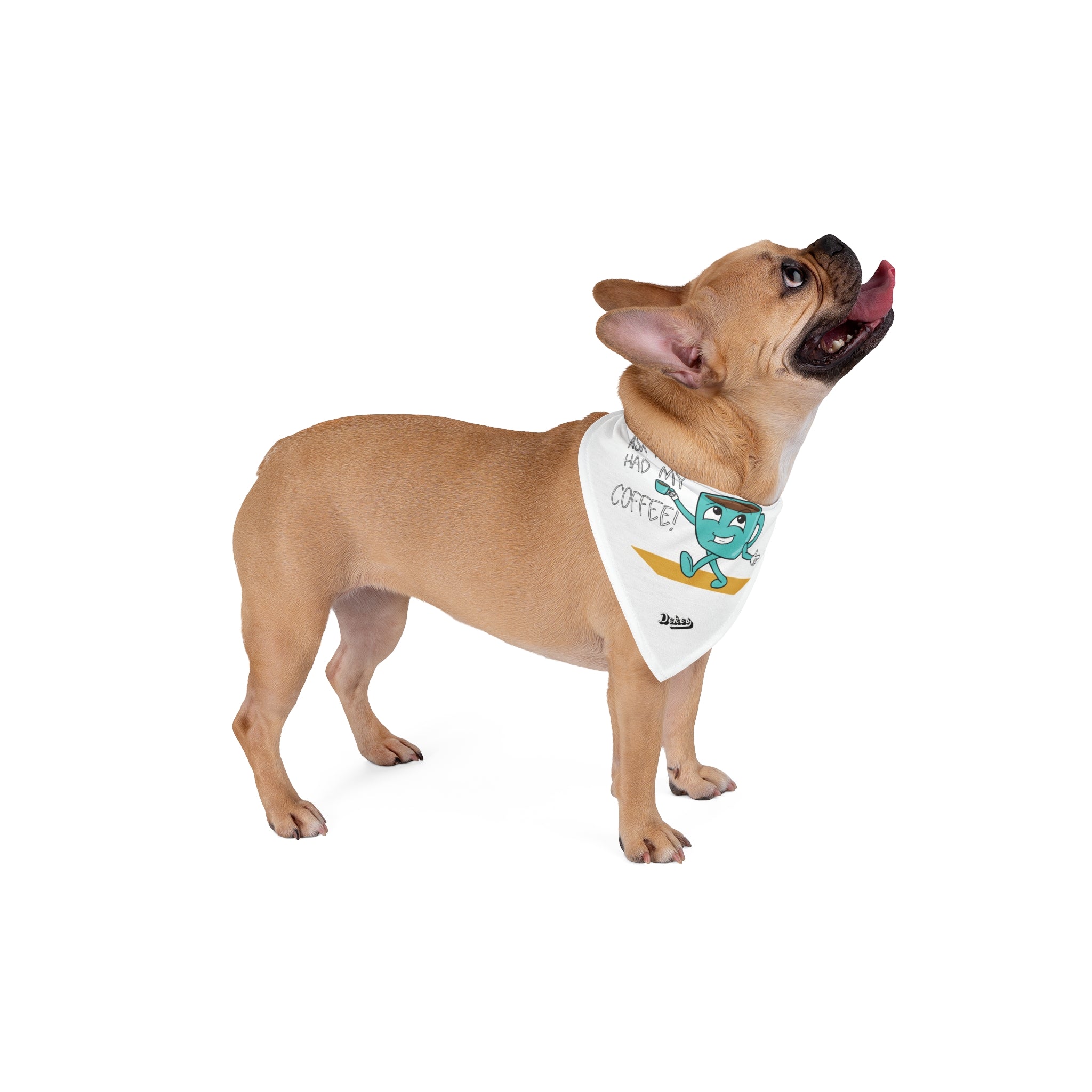 After Coffee Bandana